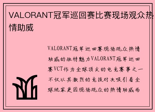 VALORANT冠军巡回赛比赛现场观众热情助威