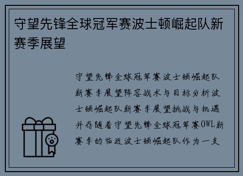 守望先锋全球冠军赛波士顿崛起队新赛季展望